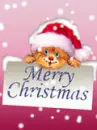 merry chistmas