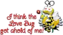 love bug