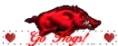 go hogs!