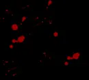 blood