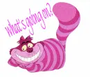 What's going on ?