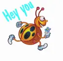 Hey You