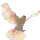 Dove