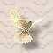 Dove 2