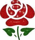 Pretty Rose