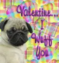 Valentine, I wuff you 1
