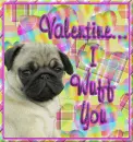 Valentine, I wuff you 2