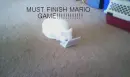 CAT ON DS