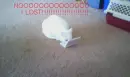 CAT ON DS2