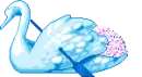 Swan