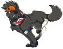 wolf tobi