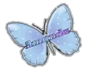 Amanda Butterfly
