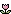 tiny tulip
