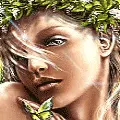 green butterfly