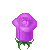 PURPLE ROSE