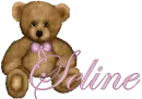 Teddy Bear - Seline