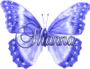 Blue Butterfly