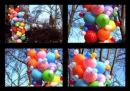 Colorfull