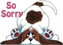 So Sorry