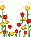 Tulip