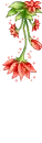 Apple Tree