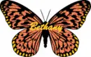 Bethany butterfly