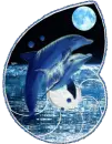 Dolphins in a moon
