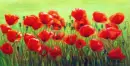 Red flower
