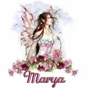 Marya Fairy Rose