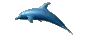 Animated dolphin