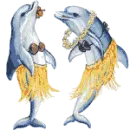 Hula dolphins