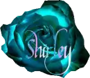Shirley