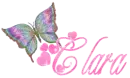 Glitter Butterfly with Name