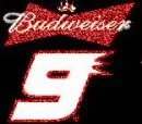 kasey kayne nascar
