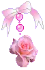 LIL PINK ROSE