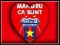 steaua