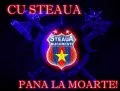 steaua
