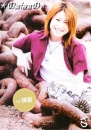 teruki an cafe / antic cafe 