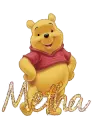 Pooh Bear