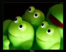Frogs