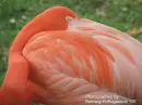 Showing Off!!!!