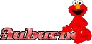 Auburne