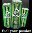 dale jr 
