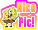 Nice Picture