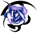 purple rose with strips