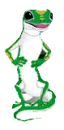 funny lizard