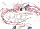 bunny-chan