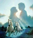 horses