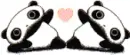 Pandas