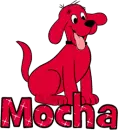 Mocha